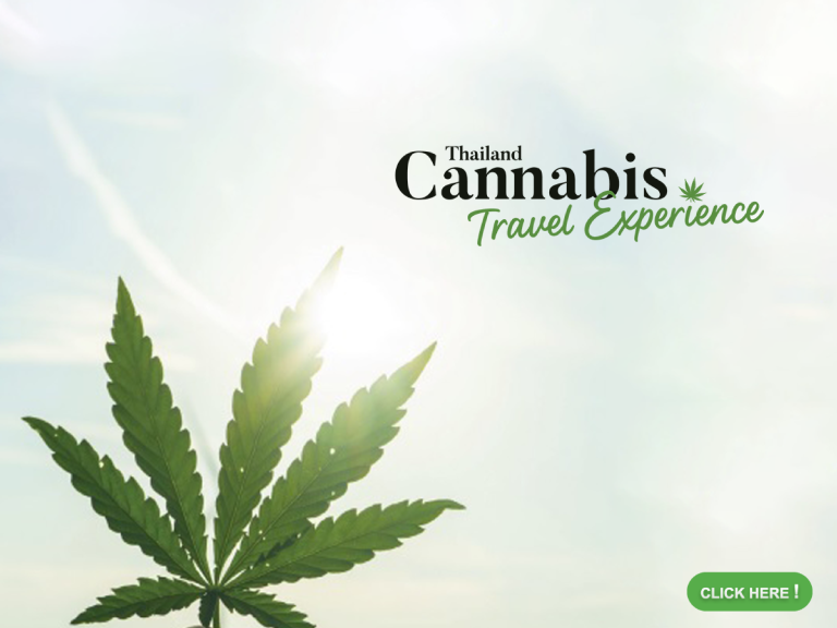 CANNABIS TRAVEL